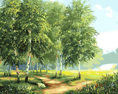 Diamond painting depicting a lush forest landscape with towering green trees.