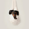 Playful Dachshund puppy nestled in a white cloth hammock, looking curious and adorable.