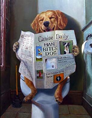 Image of Diamond painting of a happy golden retriever dog sitting on a toilet, reading a newspaper called "Canine Daily"