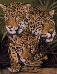 Diamond painting of leopards stalking their prey in a grassy savanna.
