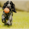 Diamond painting kit featuring a playful poodle jumping to catch a ball in its mouth.