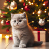 Diamond art featuring a cute kitten under a decorated Christmas tree.