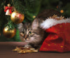 Diamond painting of a curious kitten peeking out from under a decorated Christmas tree.