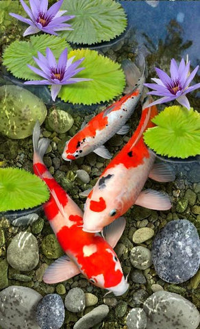 Image of A diamond painting of a serene pond with colorful koi fish swimming among water lilies and rocks.