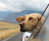 Diamond painting of a golden Labrador Retriever enjoying a car ride with its head out the window, overlooking a scenic landscape