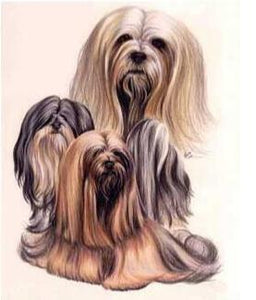 Diamond Painting of a Group of Lhasa Apso Dogs