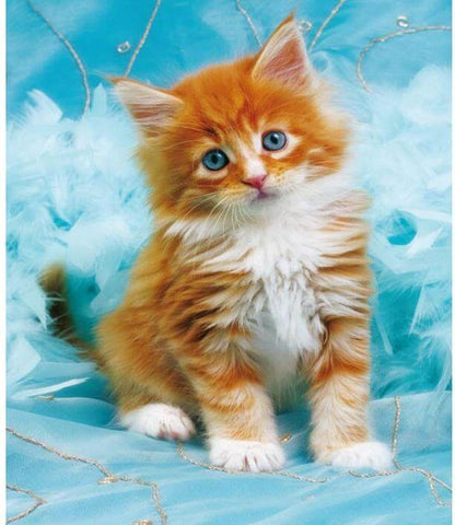 Image of Diamond painting of a cute orange kitten with blue eyes