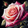 Pink Rose Diamond Painting with Water Drops