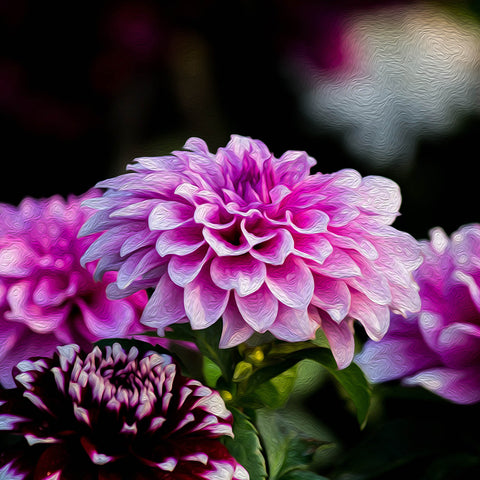 Image of Diamond painting of a close-up of a purple Dahlia flower.