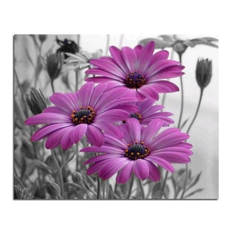 Image of Diamond painting close-up of purple daisy flowers with a black and white background.