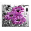 Diamond painting close-up of purple daisy flowers with a black and white background.