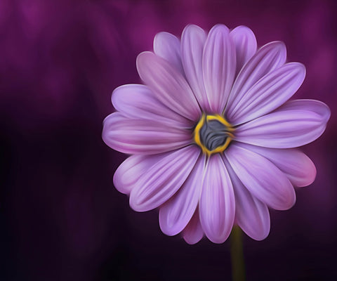 Image of Diamond painting close-up of a purple Gerbera daisy flower