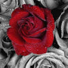 Diamond painting of roses in a red and black color scheme.