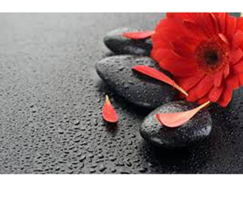 Image of Diamond Painting of a Red Flower on Black Stones with Water Droplets