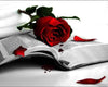 Diamond painting of a single red rose with black highlights resting on a vintage book page.