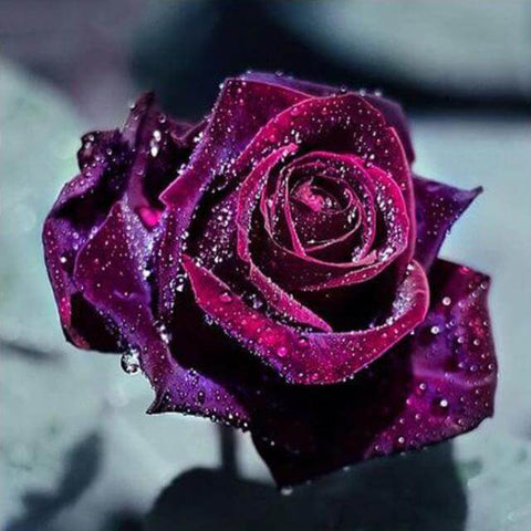 Image of Diamond painting of a romantic rose