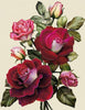 Diamond painting of a red rose bouquet with pink roses and green leaves.