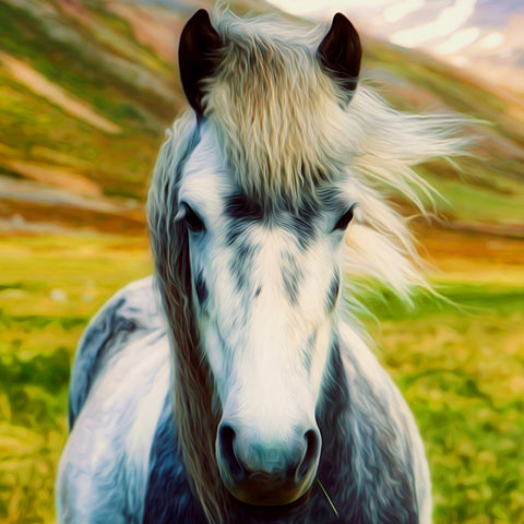 Image of Diamond painting of a majestic white horse in profile. 