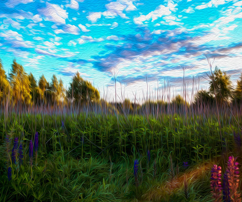 Image of Diamond Painting of a Summer Landscape with Lupine Flowers and a Blue Sky