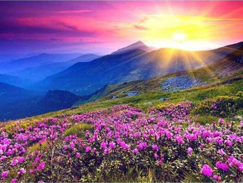 Image of Diamond Painting of a Sun Rising Over a Hilltop Field of Purple Flowers