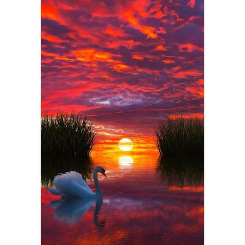 Image of Diamond Painting of a Swan Swimming on a Lake at Sunset