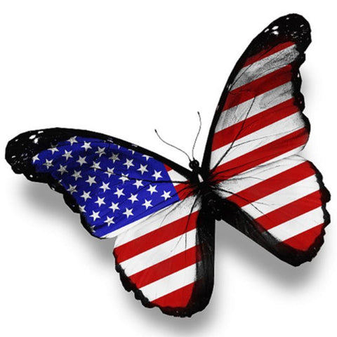 Image of Diamond painting of a butterfly with American flag wings.