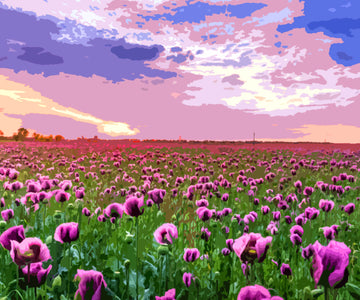 Field of Purple Roses