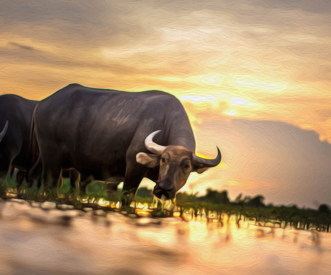 Image of Diamond Painting of a Water Buffalo Drinking Water at Sunset