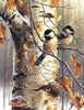 Winter diamond painting depicting two chickadees perched on a snowy branch.