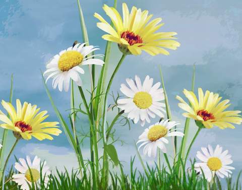 Image of Diamond Painting of Yellow and White Daisies in a Field