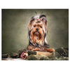 Diamond painting of a Yorkshire Terrier dog sitting on a book with a rose