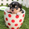 Puppy in a cup - DIY Diamond Painting