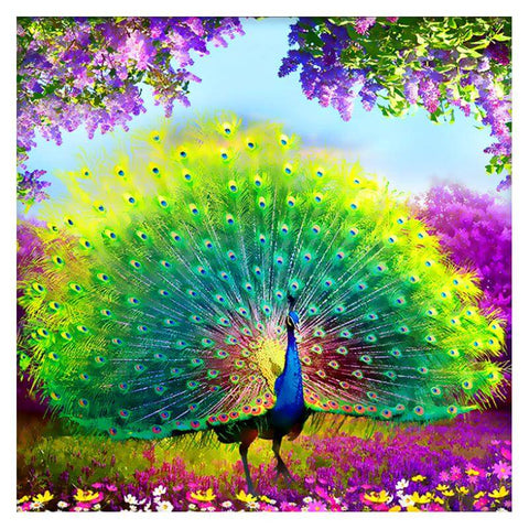 Image of peacock paintings on canvas