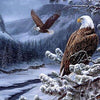 eagle paintings on canvas