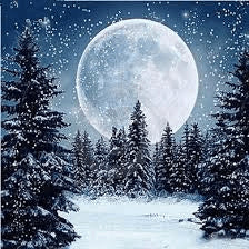 Image of Snowy Full Moon - DIY Diamond Painting