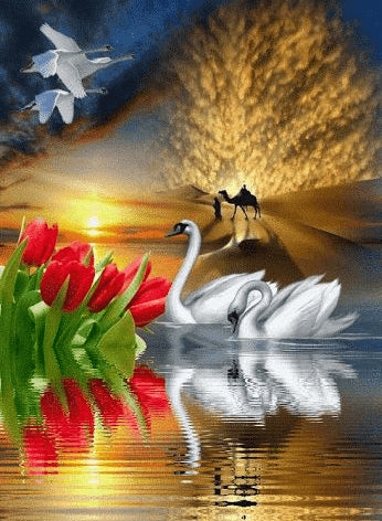 Image of Swan in lake - DIY Diamond Painting