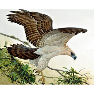 Eagle #2 -  DIY Diamond Painting