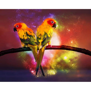 Lovely Parrots - DIY Diamond Painting