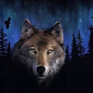 Wolf in the Dark - DIY Painting By Numbers