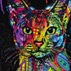 Colourful Abstract Cat -DIY Painting By Numbers
