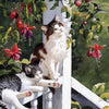 Cats on the Balcony - DIY Painting By Numbers