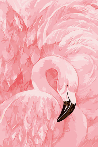 Flamingo - DIY Painting By Numbers