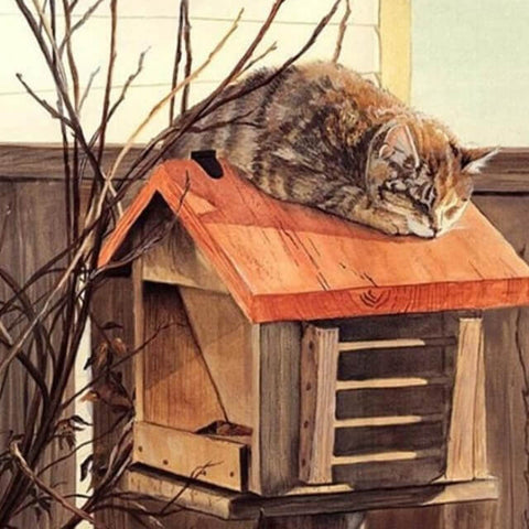 Image of Cat lying on a Mailbox - DIY Painting By Numbers