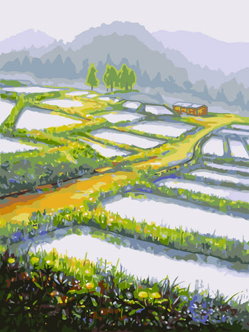 Image of Rice Field - DIY Painting By Numbers