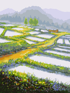 Rice Field - DIY Painting By Numbers