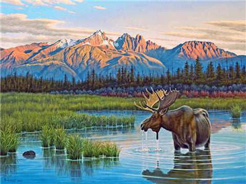 Image of Moose - DIY Painting By Numbers