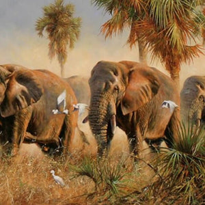 Elephants in the Nature - DIY Painting By Numbers