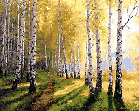 Image of Forest - DIY Painting By Numbers