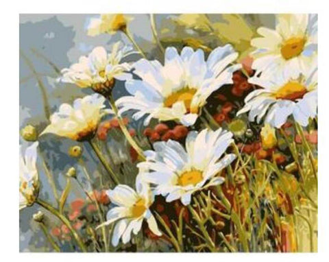 Image of Daisy - DIY Painting By Numbers