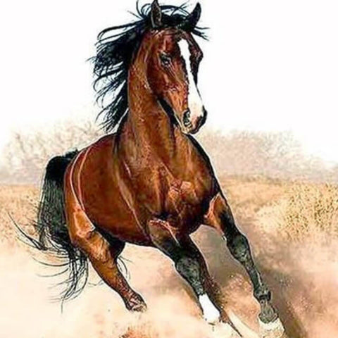 Image of Running Horse - DIY Painting By Numbers